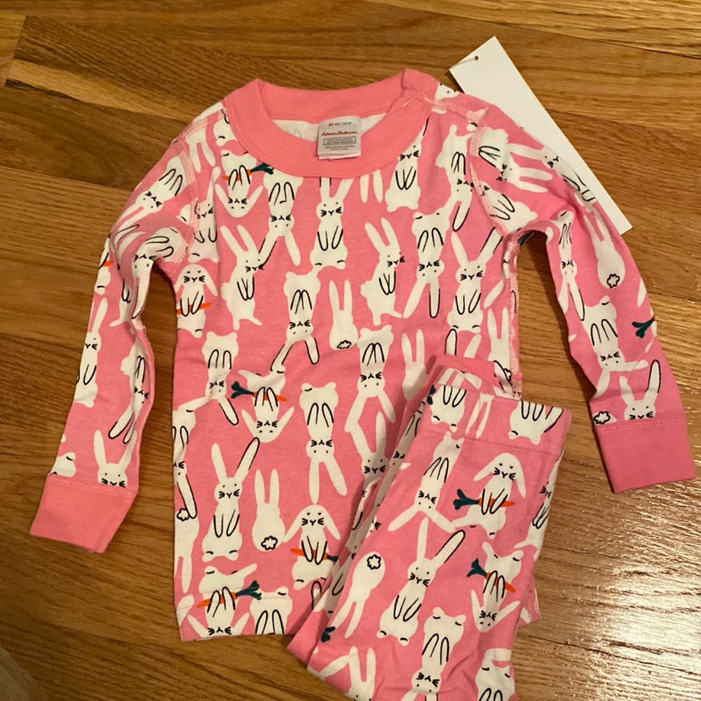 NWT Size 2T Hanna Andersson 2 Piece pajamas